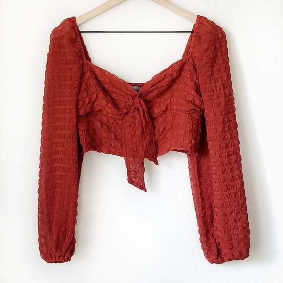Urban Outfitters Tops - Urban Outfitters burnt orange long sleeve crop top